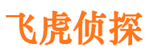 龙游市调查公司